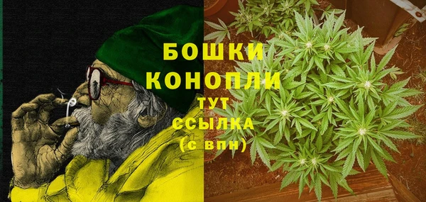 дживик Корсаков