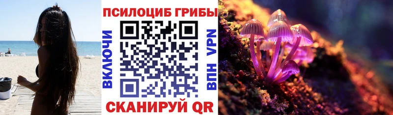 дарнет шоп  kraken ССЫЛКА  Галлюциногенные грибы ЛСД  Сурск 